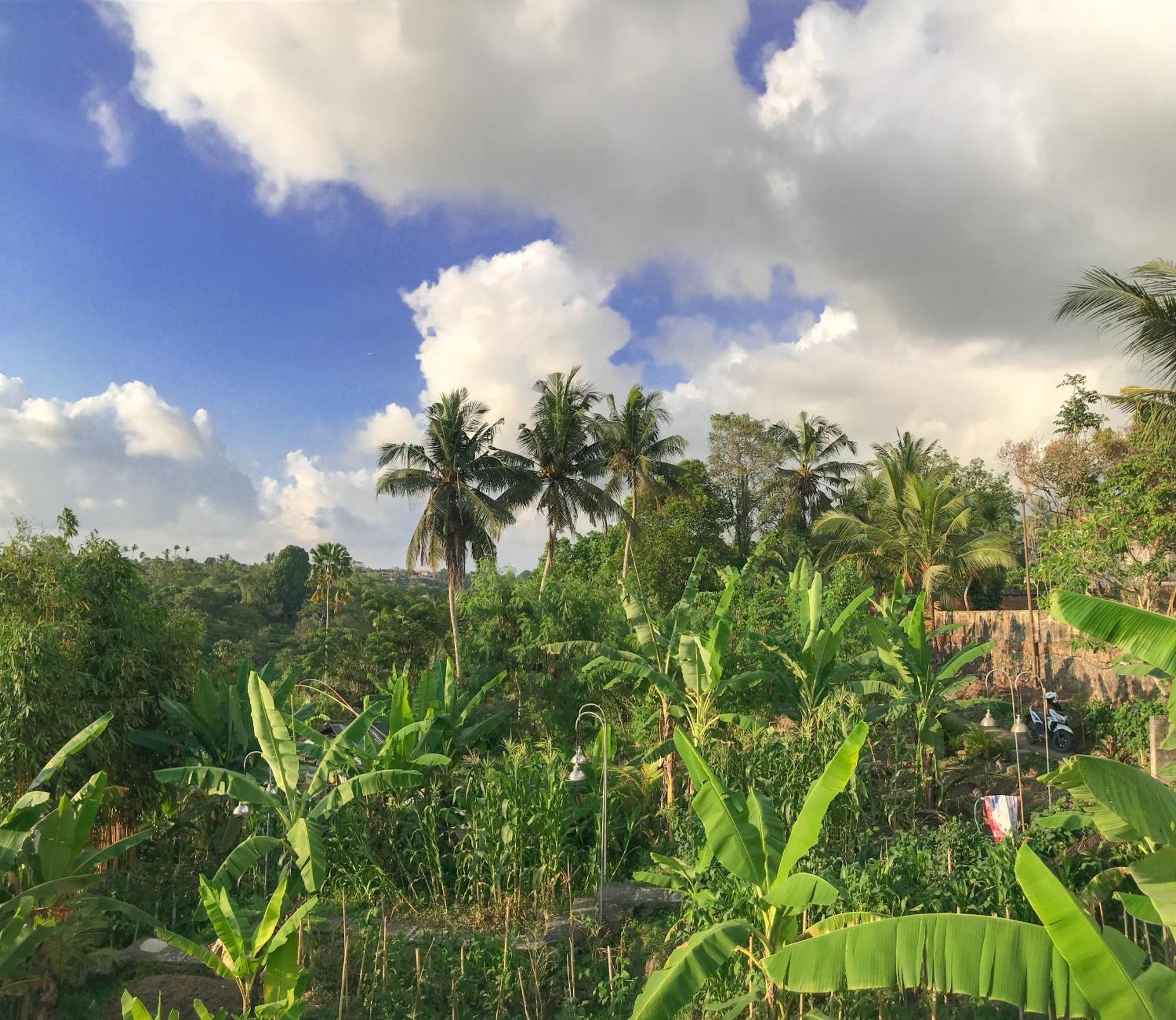 Heri House Ubud Exterior photo