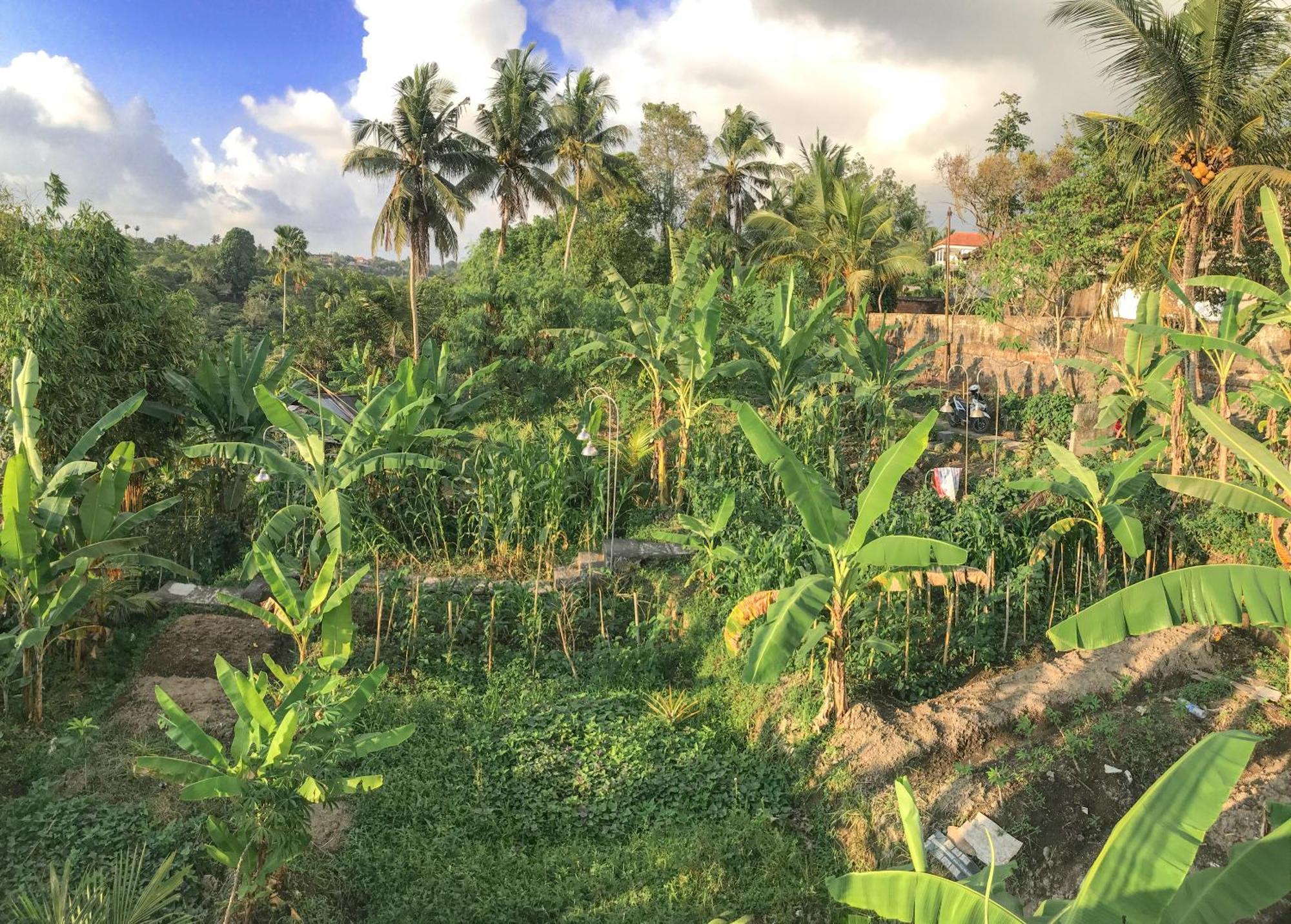 Heri House Ubud Exterior photo